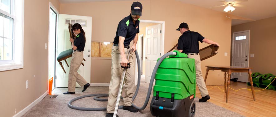 Tinley Park, IL cleaning services